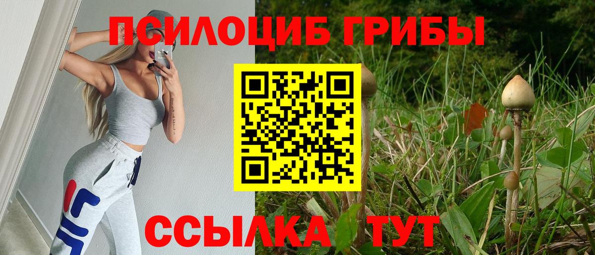 Саров  Псилоцибиновые грибы Psilocybe  сколько стоит  Вход с VPN  Псилоцибиновые грибы Magic Shrooms 