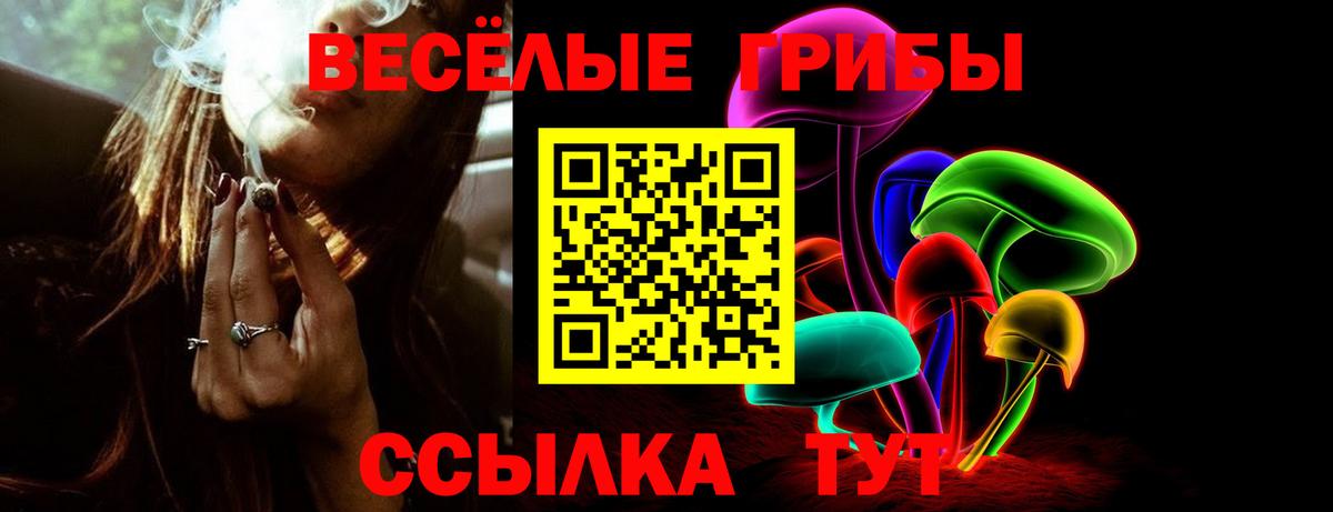 Псилоцибиновые грибы Psilocybine cubensis Саров